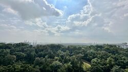 Normanton Park (D5), Apartment #508413211